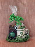 Wizard Gift Set - Green Snake